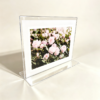 Acrylic T shape table tent card holder